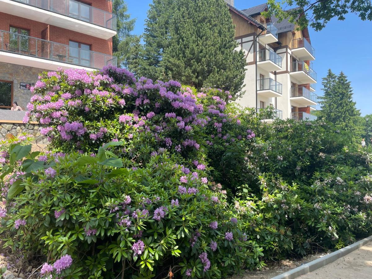 Apartament N&B Szklarska Poręba Εξωτερικό φωτογραφία